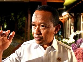 Presiden Prabowo Pacu Hilirisasi dan Ketahanan Energi, Optimalkan SDA untuk Kemandirian Nasional