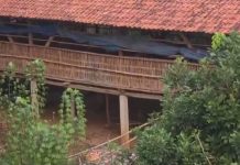 Viral di Medsos, Kandang Ayam di Tengah Pemukiman Ciputat Diprotes Warga