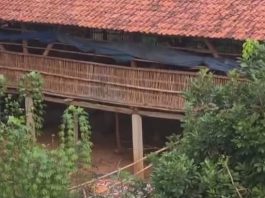 Viral di Medsos, Kandang Ayam di Tengah Pemukiman Ciputat Diprotes Warga