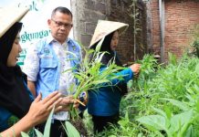 Kelurahan Suka Mulya Kampanyekan Pola Hidup Bersih Sehat Melalui Lomba Kampung Hijau dan Ber-PHBS