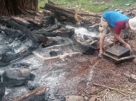 Penebangan Beringin Tua Berbiaya Rp8 Juta Rusak Puluhan Makam di Pondok Aren, DLH Tangsel Disorot
